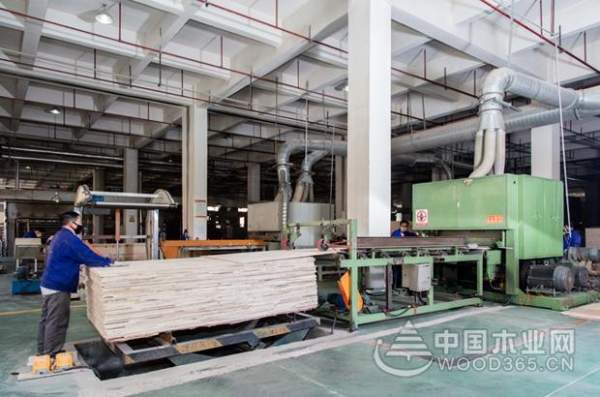 大王椰工厂开放日圆满成功，品质追寻之旅永不落幕
