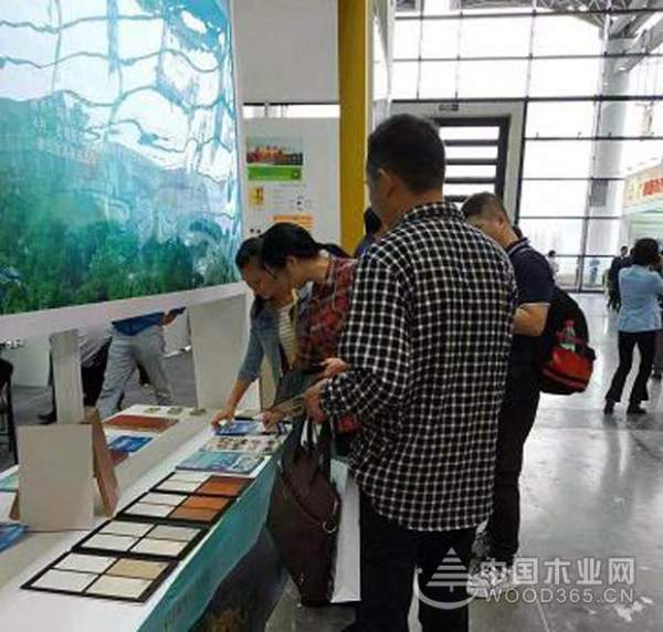 2018中国-东盟博览会鹏森缘一如既往，万众瞩目