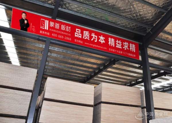 象道金杉木生态板  精湛工艺绽放品质色彩！
