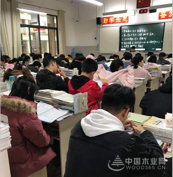壮象|国木香杉  健康居家
