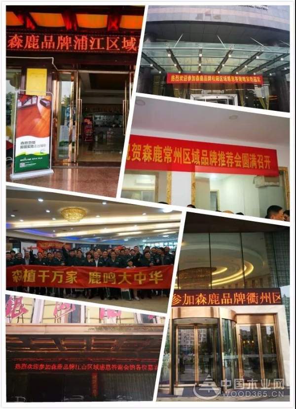 森鹿全国油木工俱乐部活动建德站圆满落幕
