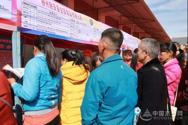 中国十大环保板材——壮象董事长为融安香杉产业代言