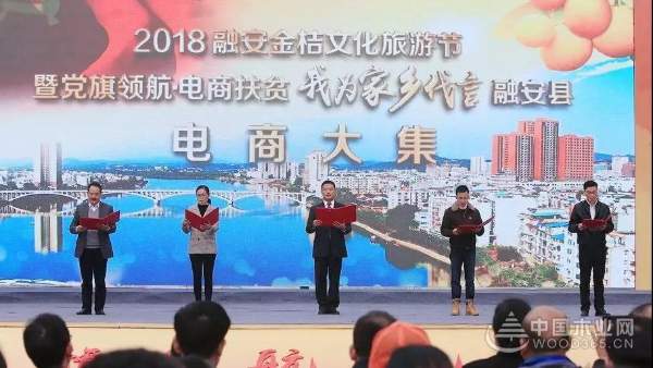 中国十大环保板材——壮象董事长为融安香杉产业代言