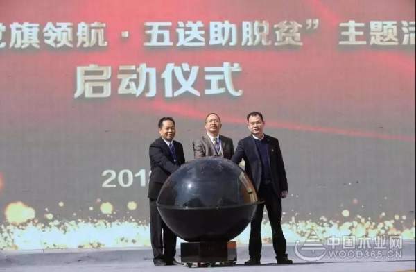 中国十大环保板材——壮象董事长为融安香杉产业代言