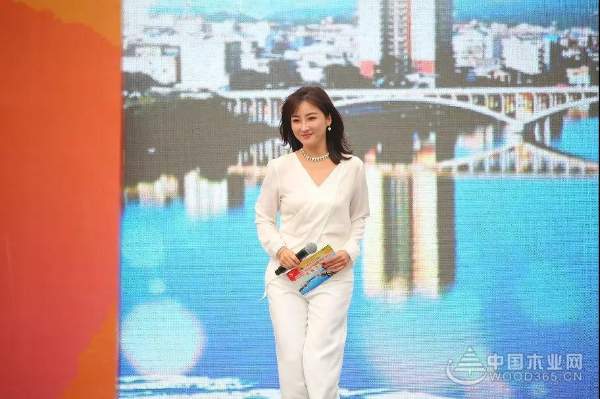 中国十大环保板材——壮象董事长为融安香杉产业代言