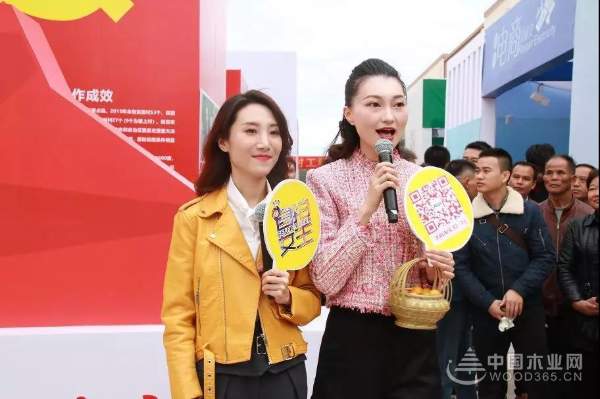 中国十大环保板材——壮象董事长为融安香杉产业代言