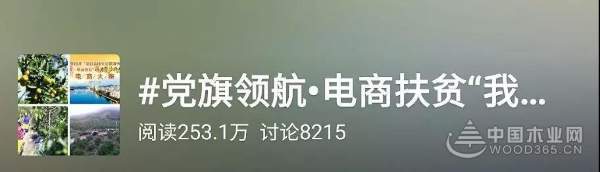 中国十大环保板材——壮象董事长为融安香杉产业代言