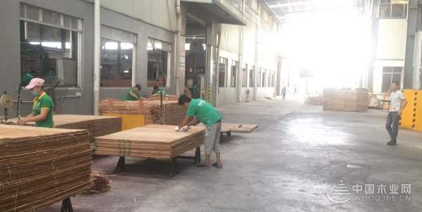打造特色文化 香港汉邦推行6s管理建设