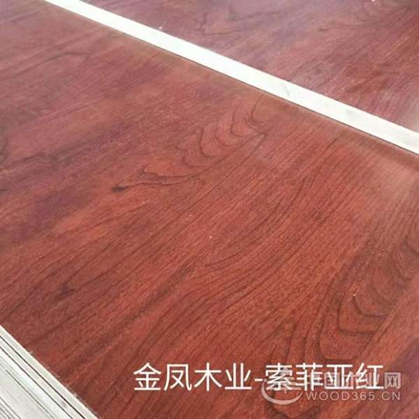开启多品牌布局，金凤木业加速升级蜕变！