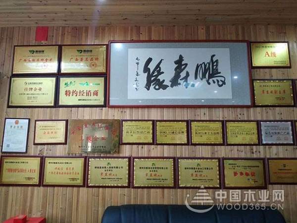 鹏森缘—健康板 环保家
