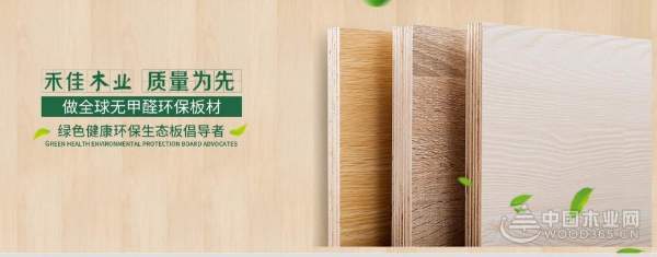 脱颖而出 禾佳木业全力以赴加快发展步伐