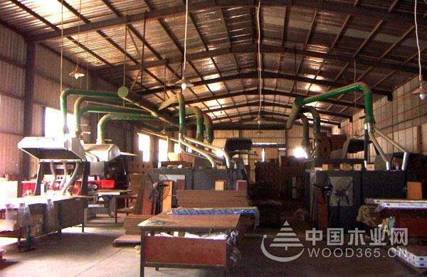 脱颖而出 禾佳木业全力以赴加快发展步伐