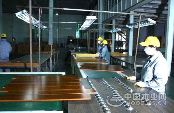 脱颖而出 禾佳木业全力以赴加快发展步伐
