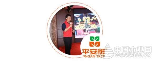热烈祝贺平安树品牌舒宜家系列“春”新品发布会圆满召开！