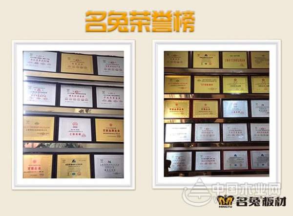 名兔板材的前世今生