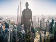 名兔板材的前世今生