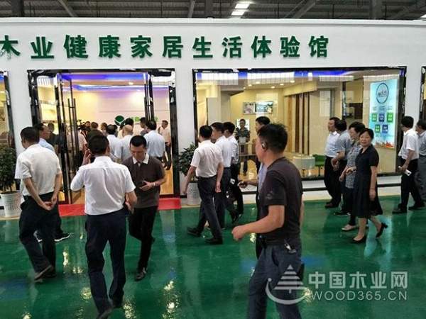 湖北绿森源木业：产品精益求精 品牌双轨运营