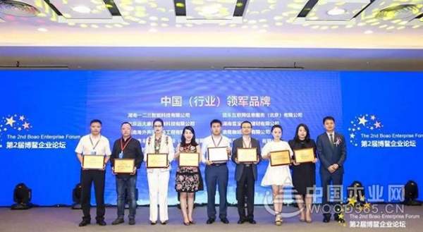 又传喜讯啦！海南博鳌: 雪宝荣获“中国家居建材行业领军品牌”