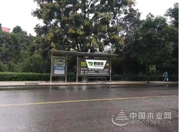 “新店开业，现场签约”鹏森缘木业双喜临门