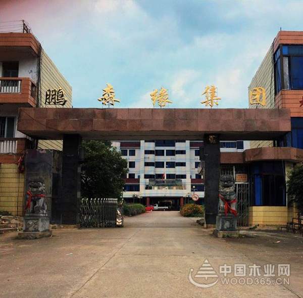 “新环境、新里程、新未来”鹏森缘集团乔迁新大楼