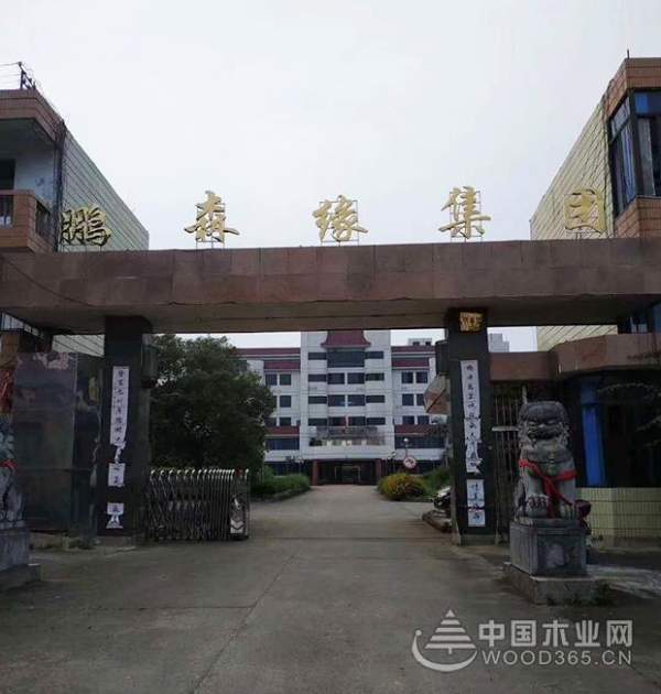 变“下行压力”为“逆势而上”，鹏森缘开启河南十六区全面招商！