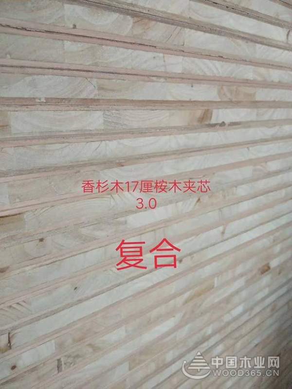 变“下行压力”为“逆势而上”，鹏森缘开启河南十六区全面招商！