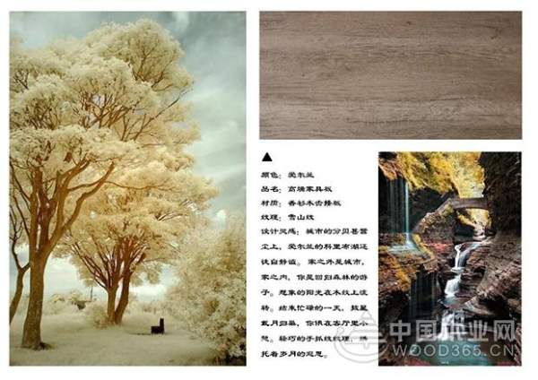 势不可挡 | 健康兔高端家具板全国震撼上市