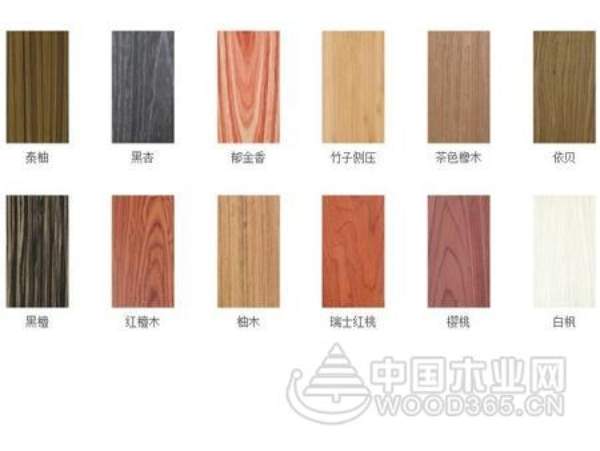 鹤友强势参展临沂木博会 吸粉无数