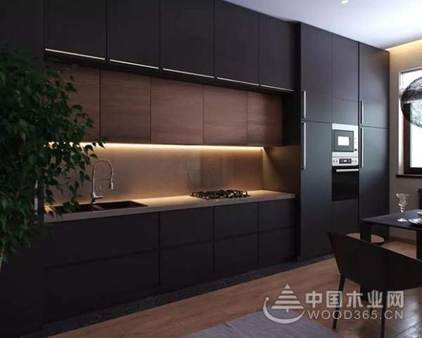 鉴赏|纯黑小皮纹——我虽黝黑，却是俊美