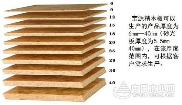 出征临沂木博会 宝源精木板受到行业一致好评