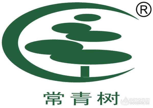 常青树：立足品牌发展，打造卓越品质