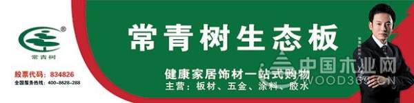 常青树：立足品牌发展，打造卓越品质