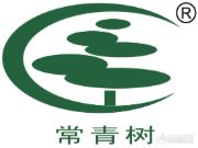 常青树：立足品牌发展，打造卓越品质