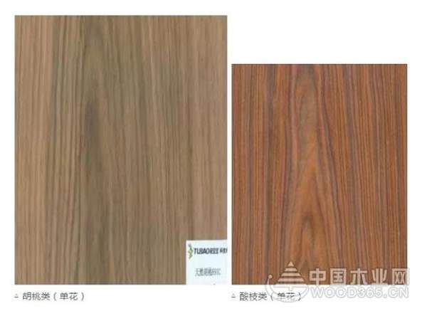 兔宝宝携新品亮相第二十四届中国国际家具展览会