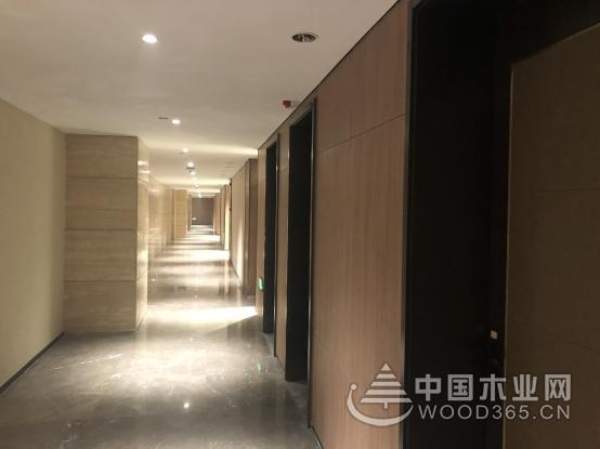 抢先看——兔宝宝木门进驻”地信大会“