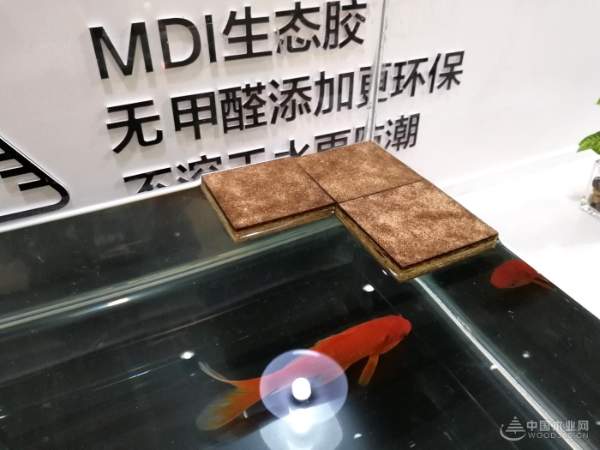 临沂木博会完美落幕，LSB高能家居板重磅揭秘