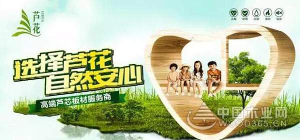 盘锦市市长汤方栋携政府各部门领导来积葭板业视察！