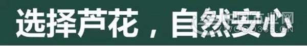 盘锦市市长汤方栋携政府各部门领导来积葭板业视察！