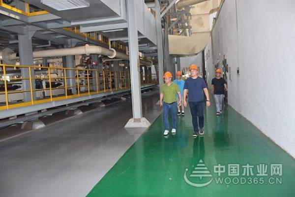 口碑渐起 多企业领导到访科林木业参观考察