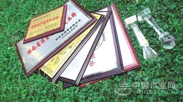 用心关爱全力以赴，洞庭木业荣膺“十大消费者信赖板材品牌”