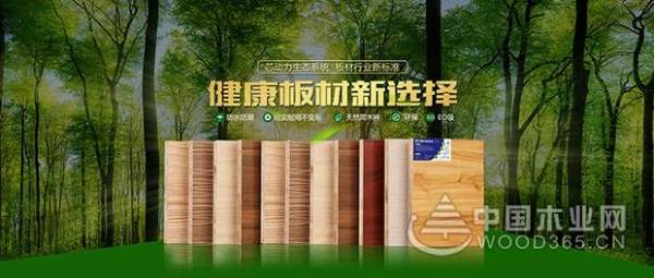 用心关爱全力以赴，洞庭木业荣膺“十大消费者信赖板材品牌”