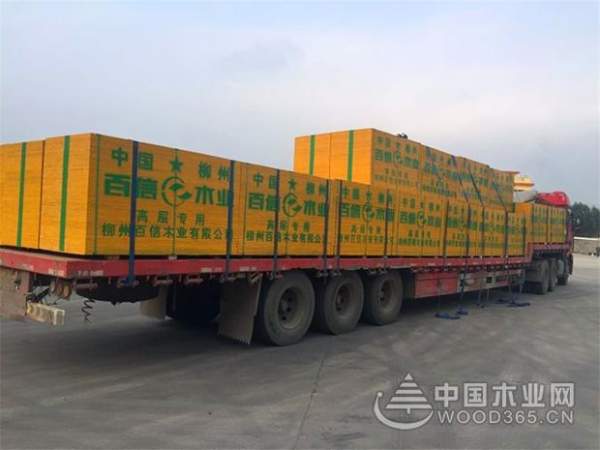 王者风范，谁与争锋！百信木业实力问鼎“建筑模板十大品牌”！
