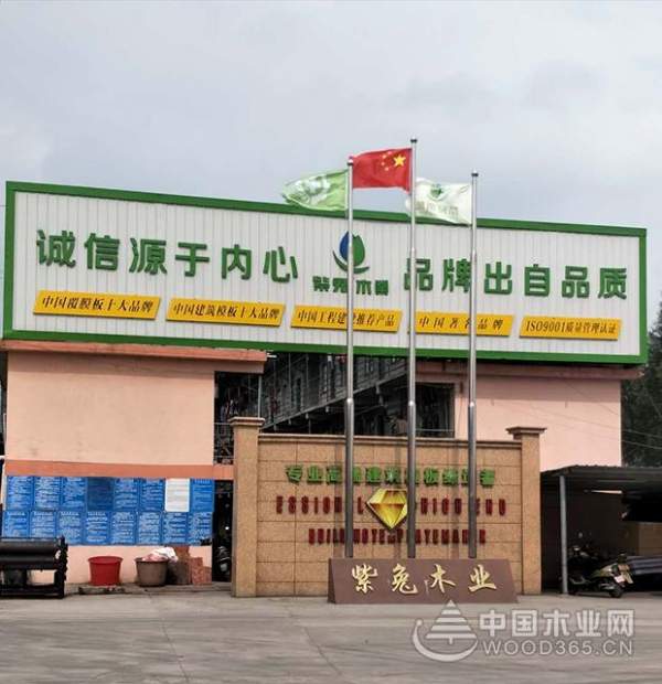 口碑炸裂+大数据佐证，紫兔实力摘夺“建筑模板十大品牌”！