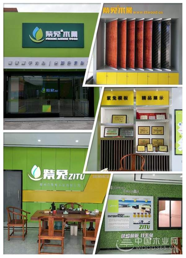 口碑炸裂+大数据佐证，紫兔实力摘夺“建筑模板十大品牌”！