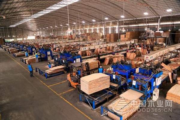 厚积薄发！蓝带获得“建筑模板十大品牌”称号！