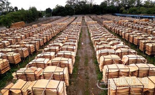 厚积薄发！蓝带获得“建筑模板十大品牌”称号！