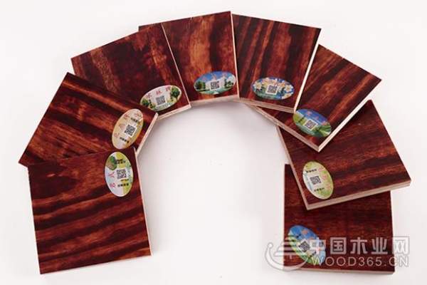 厚积薄发！蓝带获得“建筑模板十大品牌”称号！
