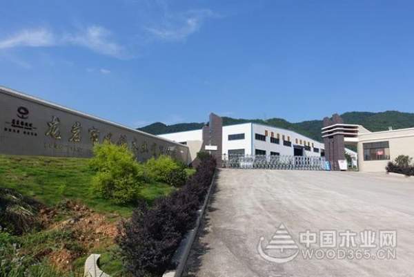 厚积薄发，砥砺前行|客家缘获颁“十大人气功能型板材品牌”