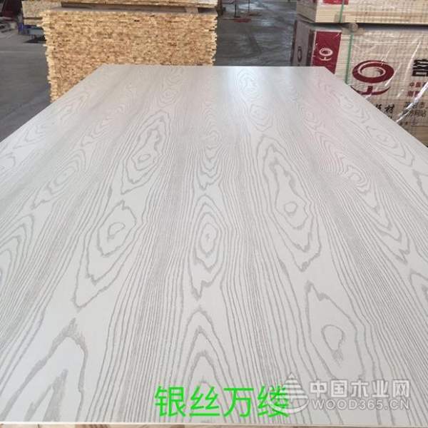 厚积薄发，砥砺前行|客家缘获颁“十大人气功能型板材品牌”