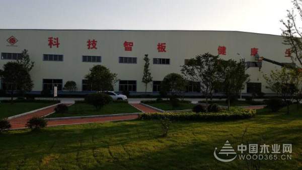 喜讯不断 科林木业再获 “刨花板十大品牌”等两项殊荣